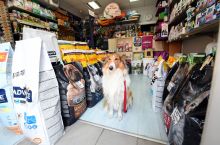 Pet shop Beograd