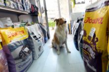 Pet shop Beograd