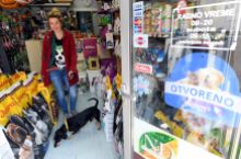Pet shop Beograd
